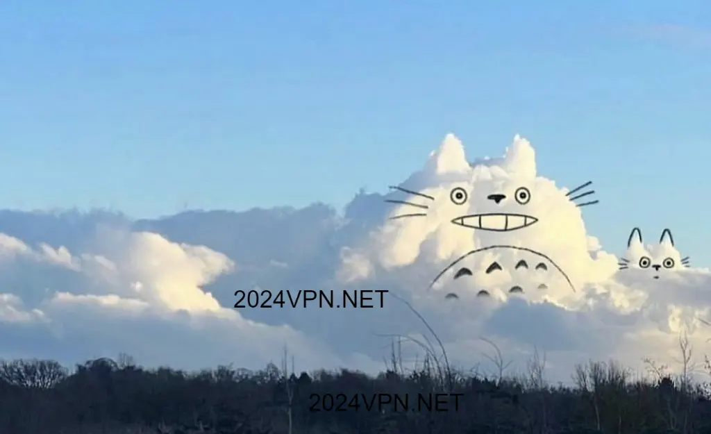 Totoro Cloud 龙猫云VPN